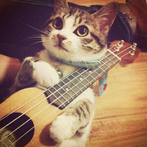 极度强奸三级片
